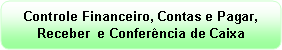 Retngulo de cantos arredondados: Controle Financeiro, Contas e Pagar, Receber  e Conferncia de Caixa